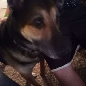 Meet your Posher, Sally